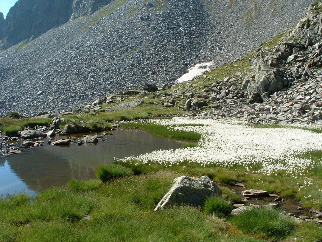 Laghi.......del TRENTINO